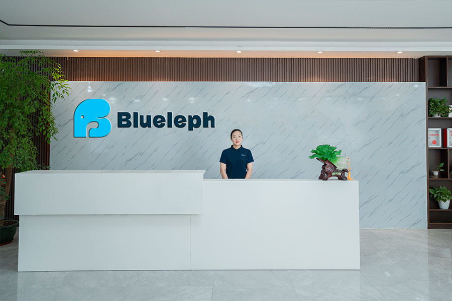 blueleph front door reception 01