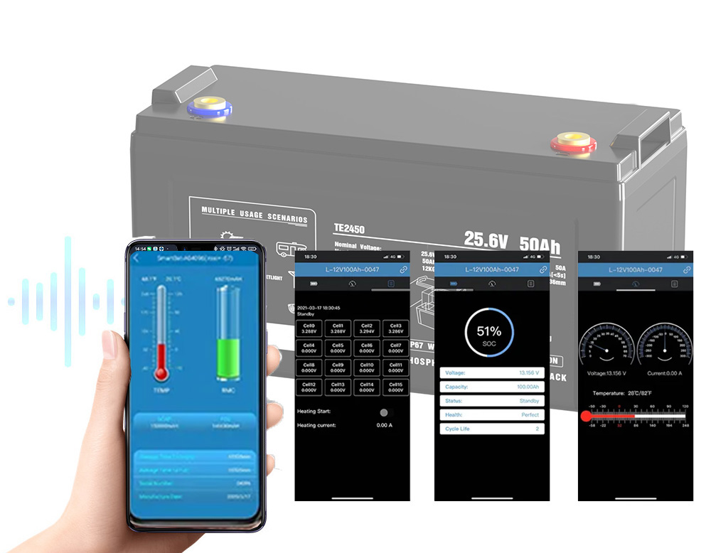 smart app for IP6 waterproof rating of LiFePo4 batteries